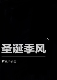 圣诞季加厚百搭卫衣